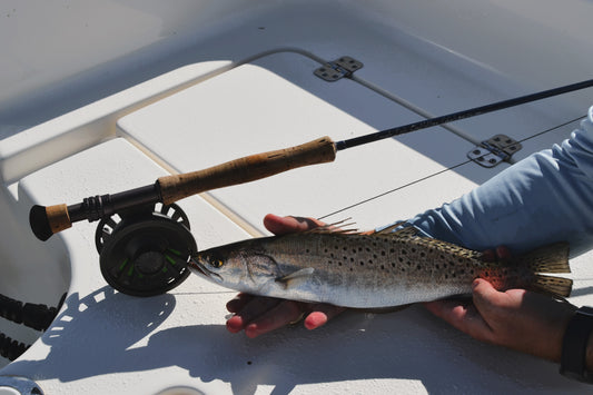HOW TO: CATCHING SPECKLED TROUT ON THE FLY IN THE WINTER