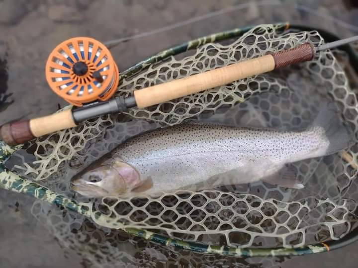 blue fish fly rod M MAXIMUMCATCH Maxcatch Fiberglass Fishing Rod: 3wt/ 5wt/ 6wt/8wt in Blue,Orange, Purple or Transparent (Blue, 7'0'' 3wt 3sec) : Sports & Outdoors The Echo Boost Blue Saltwater 6wt 90 Fly Rodengineered for maximum line speed and effortless casting Spring Blues On The Fly