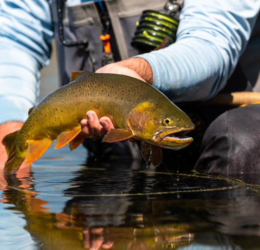 FLY BUYING MADE EASY: BLUE LINE CO.’S TROUT BUNDLES