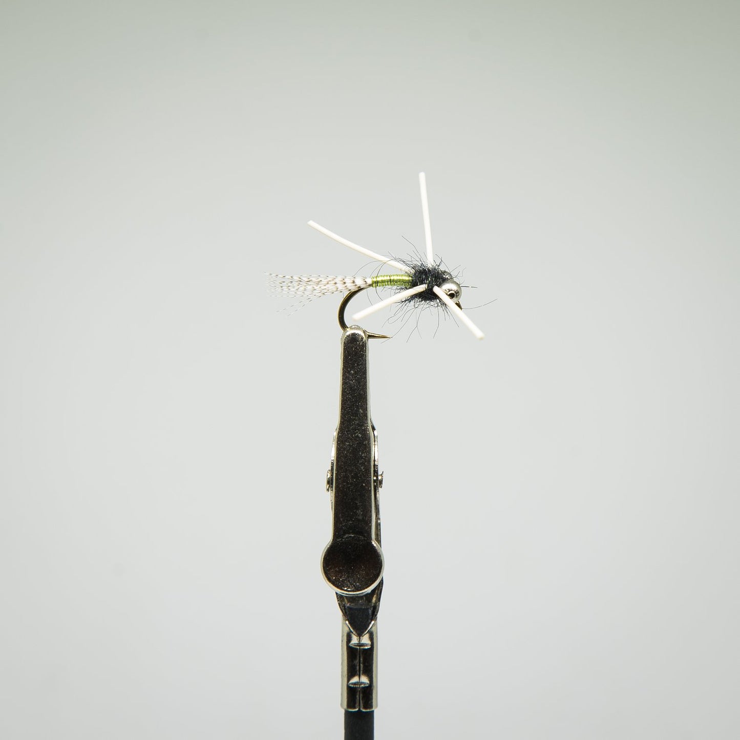 American Nymph