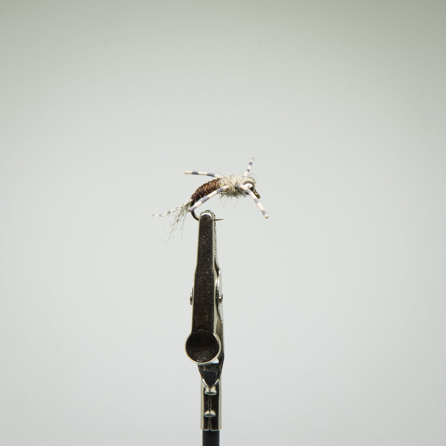 American Nymph