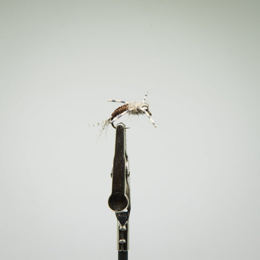 American Nymph