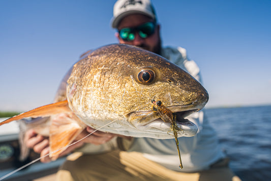 Redfish Bundle