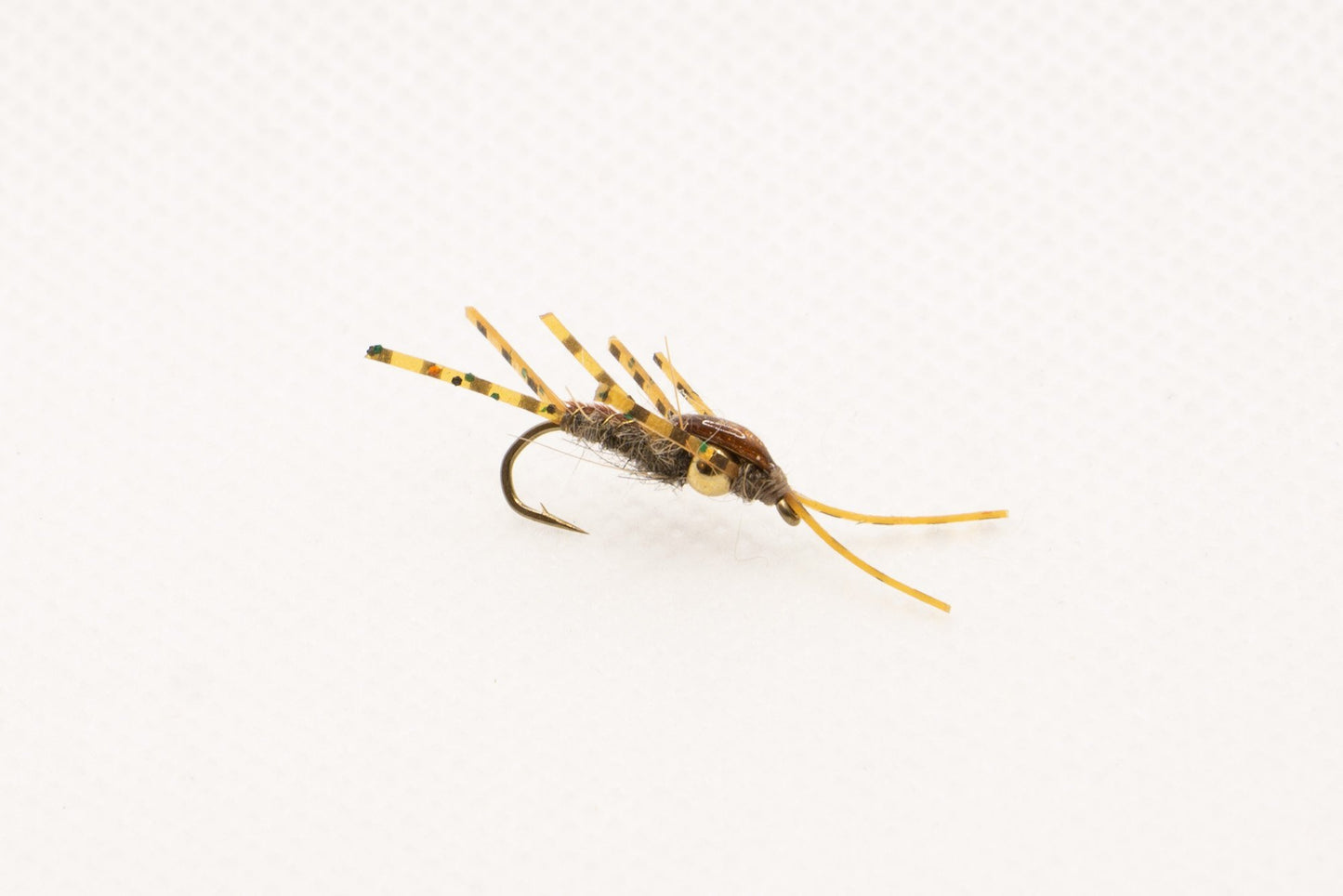 Leg Force 1 Nymph