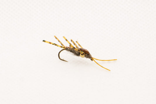 Leg Force 1 Nymph