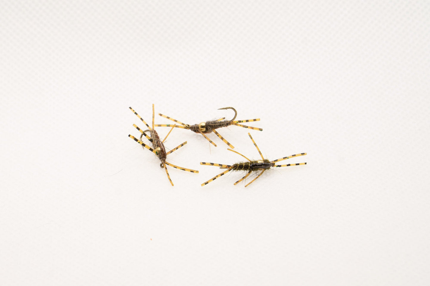 Leg Force 1 Nymph