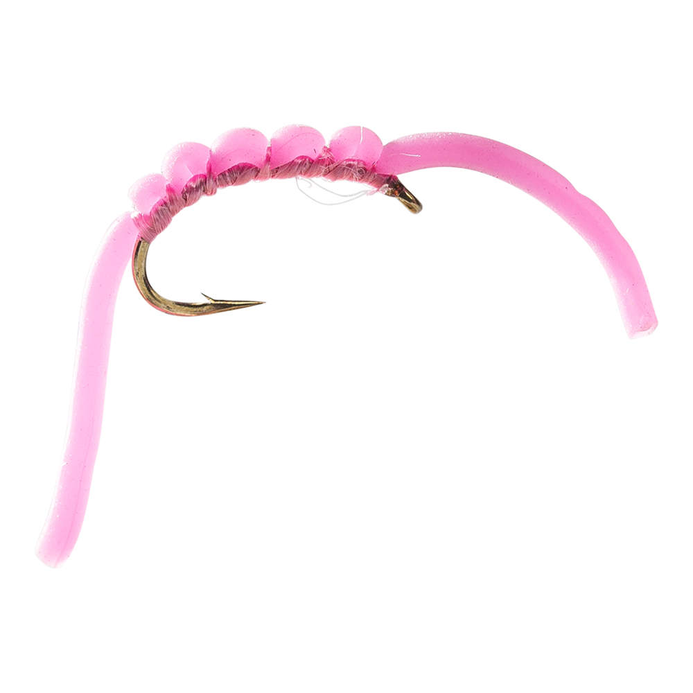 The Worm
