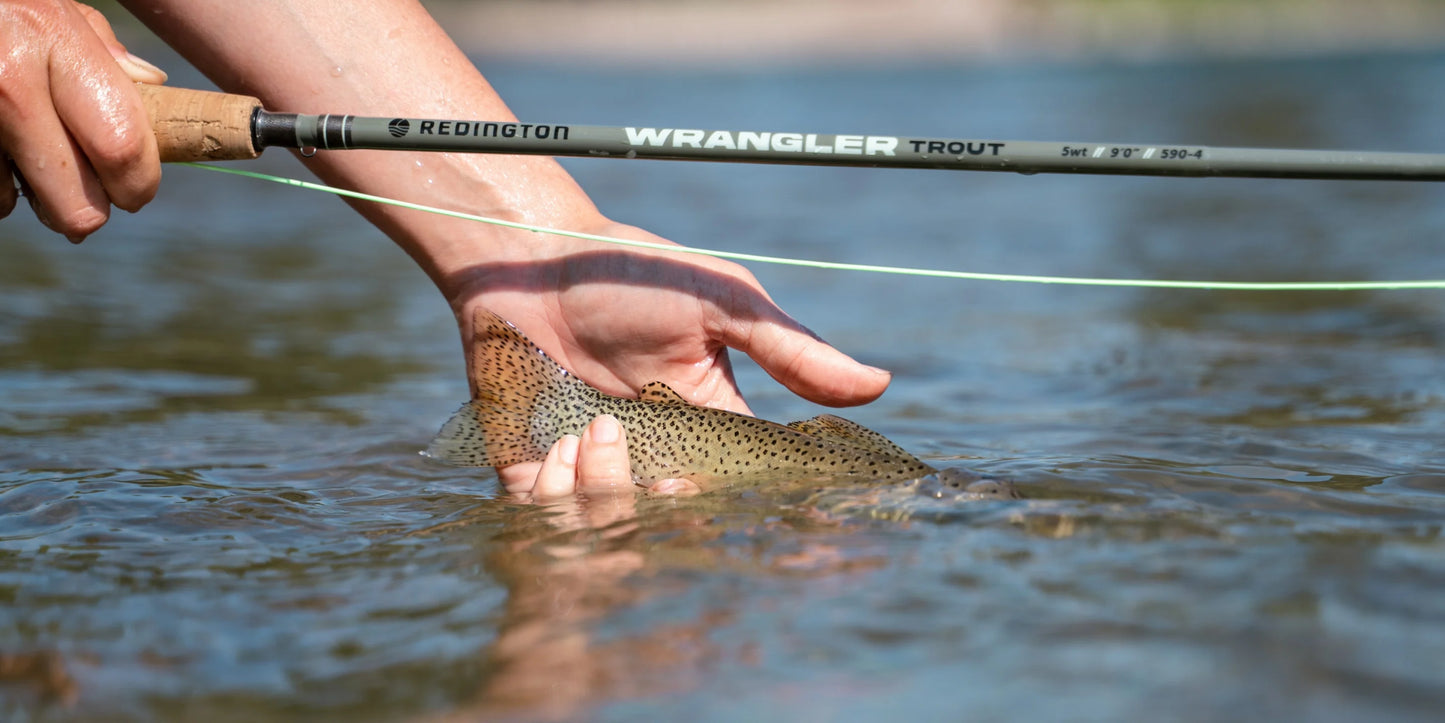 Boise Fly Fishing Starter Kit