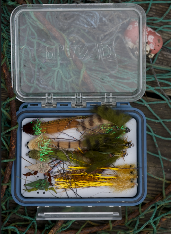 Saltwater Bundle