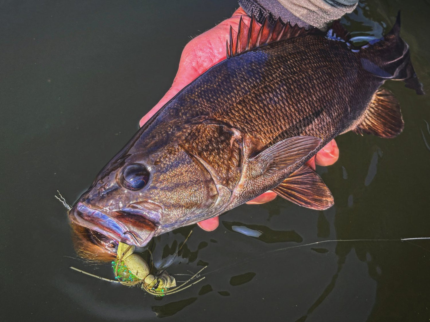 Spawn Craw - Chattanooga Creek Flies