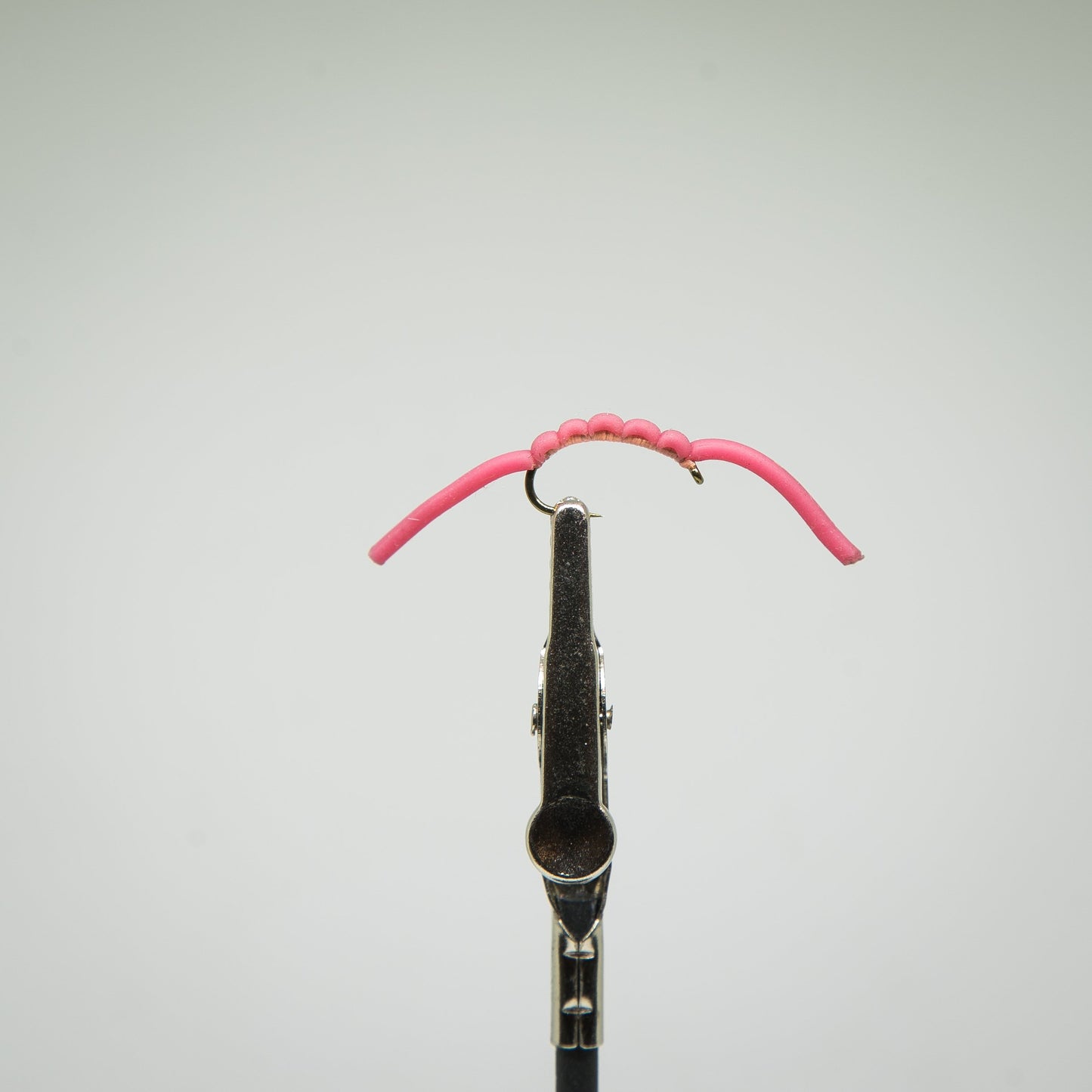 The Worm