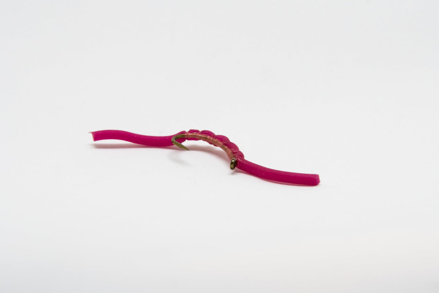 The Worm