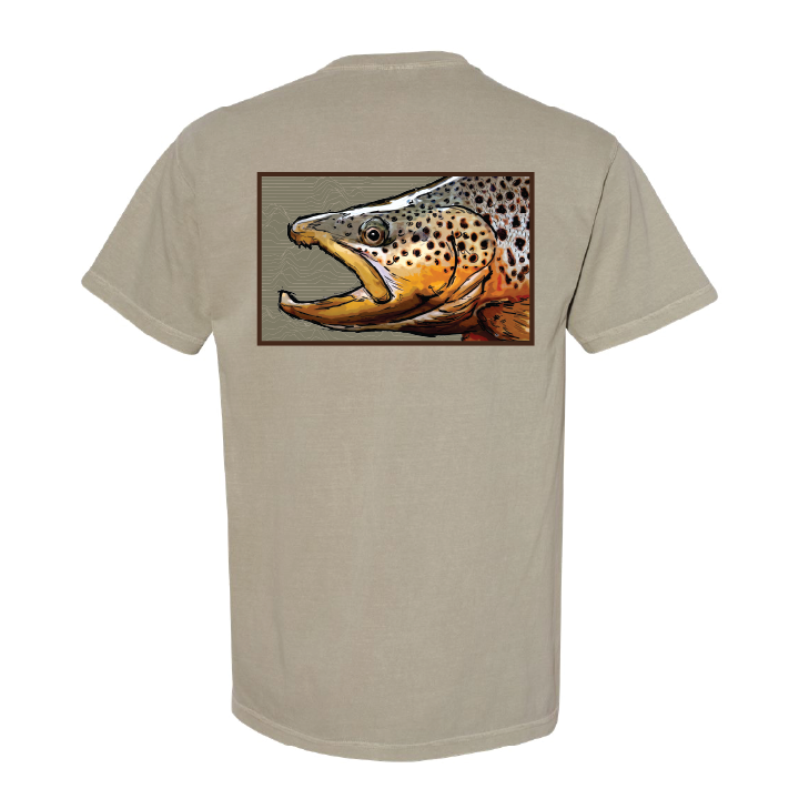 Brown Trout