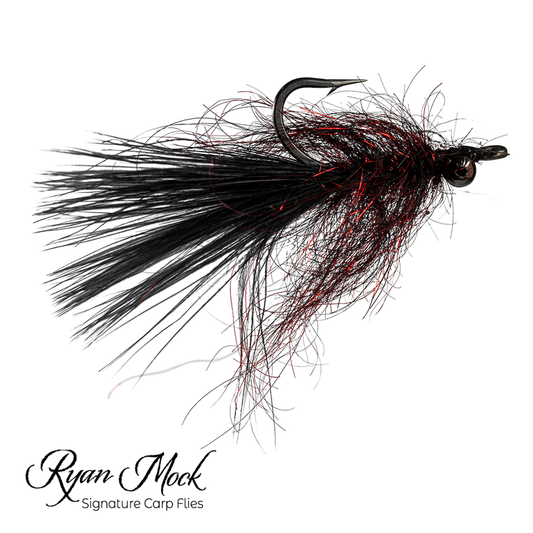 Carp Leech