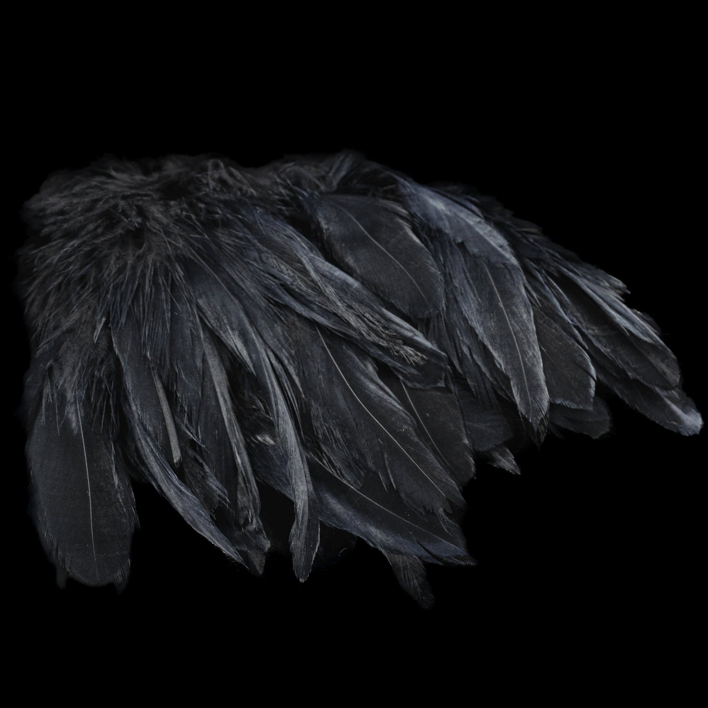Finatics Premium Schlappen (5.5–7.5”)-Finatics Fly Company
