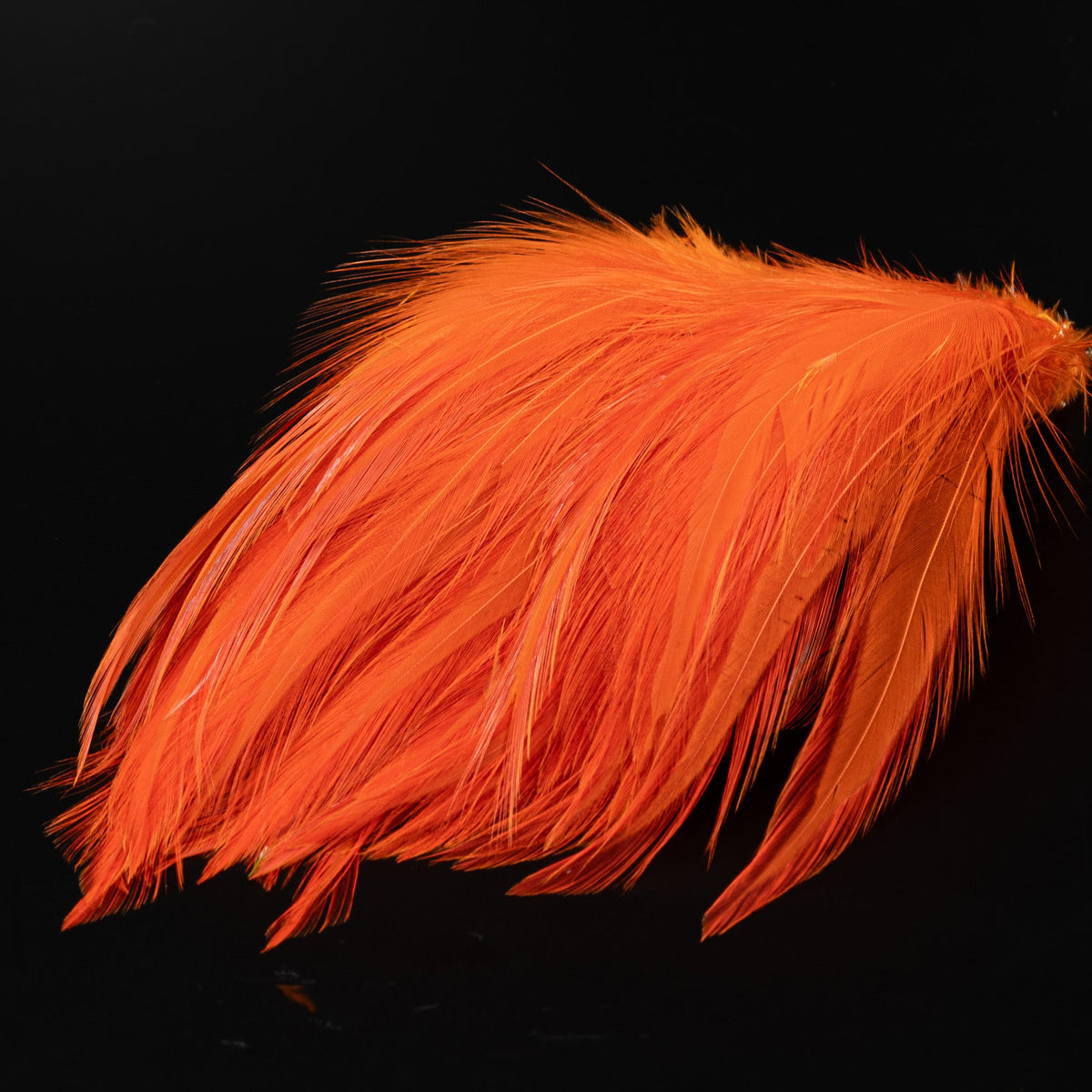 Finatics Premium Strung Hackle – 4" to 4.5"- Finatics Fly Company