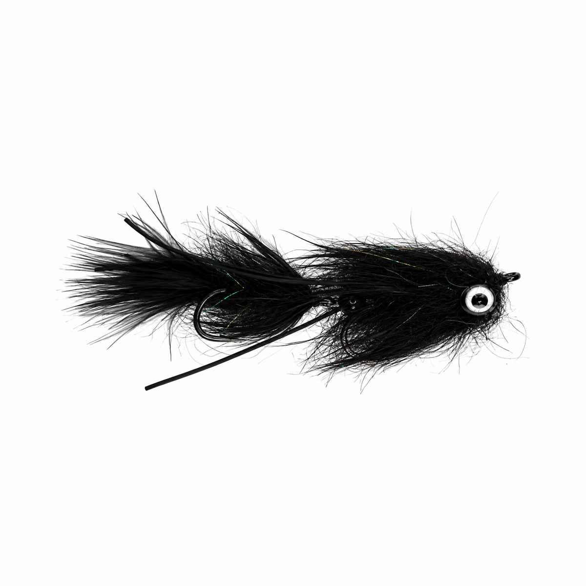 Full Size Leech