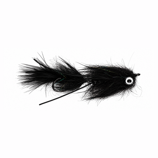 Full Size Leech