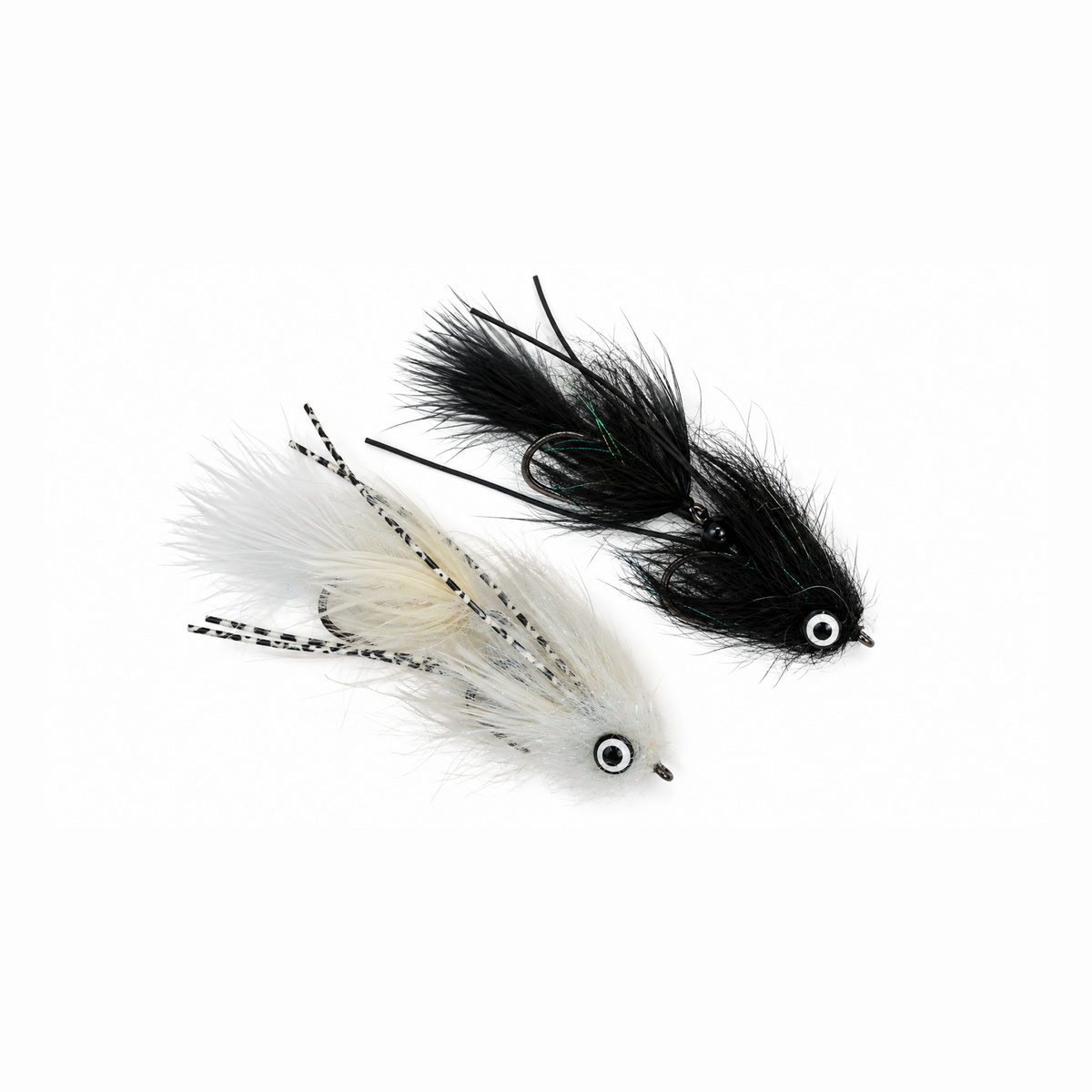 Full Size Leech