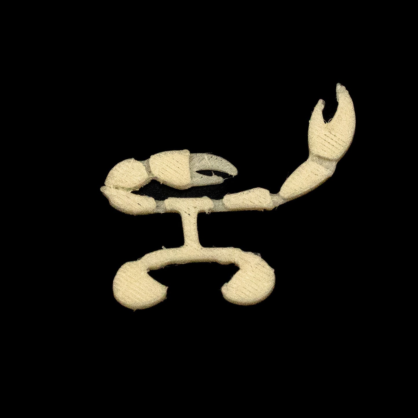 Cajun Mudflat Crab