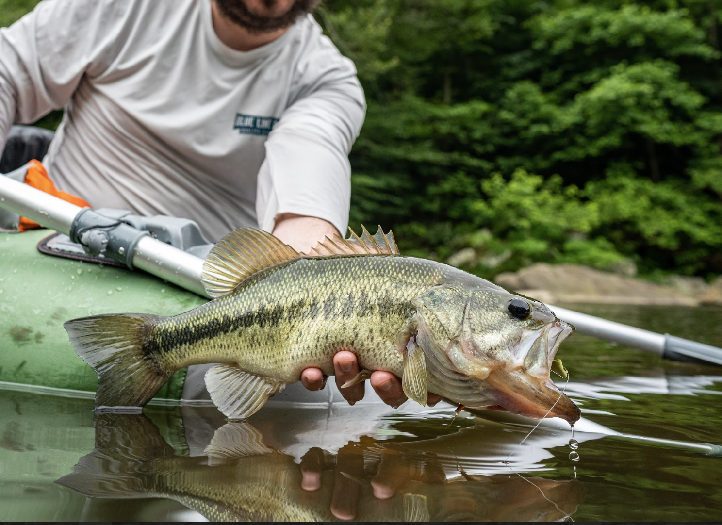Topwater Bundle – BlueLineCo