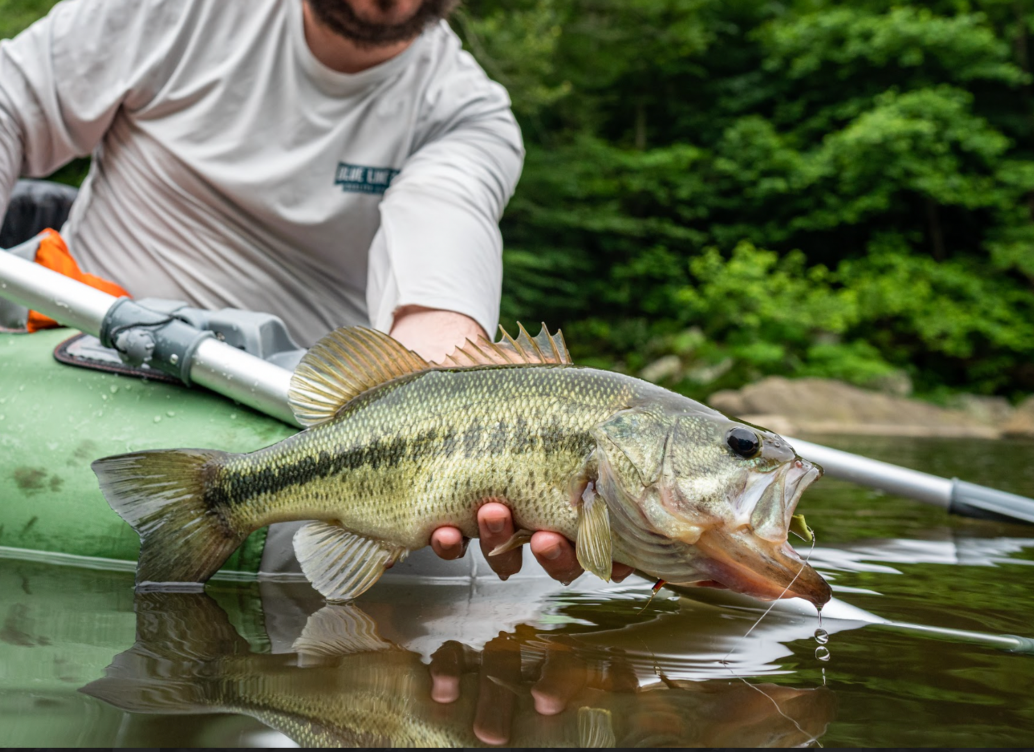 Topwater Bundle – BlueLineCo