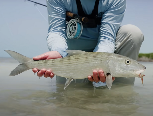 Saltwater Bundle