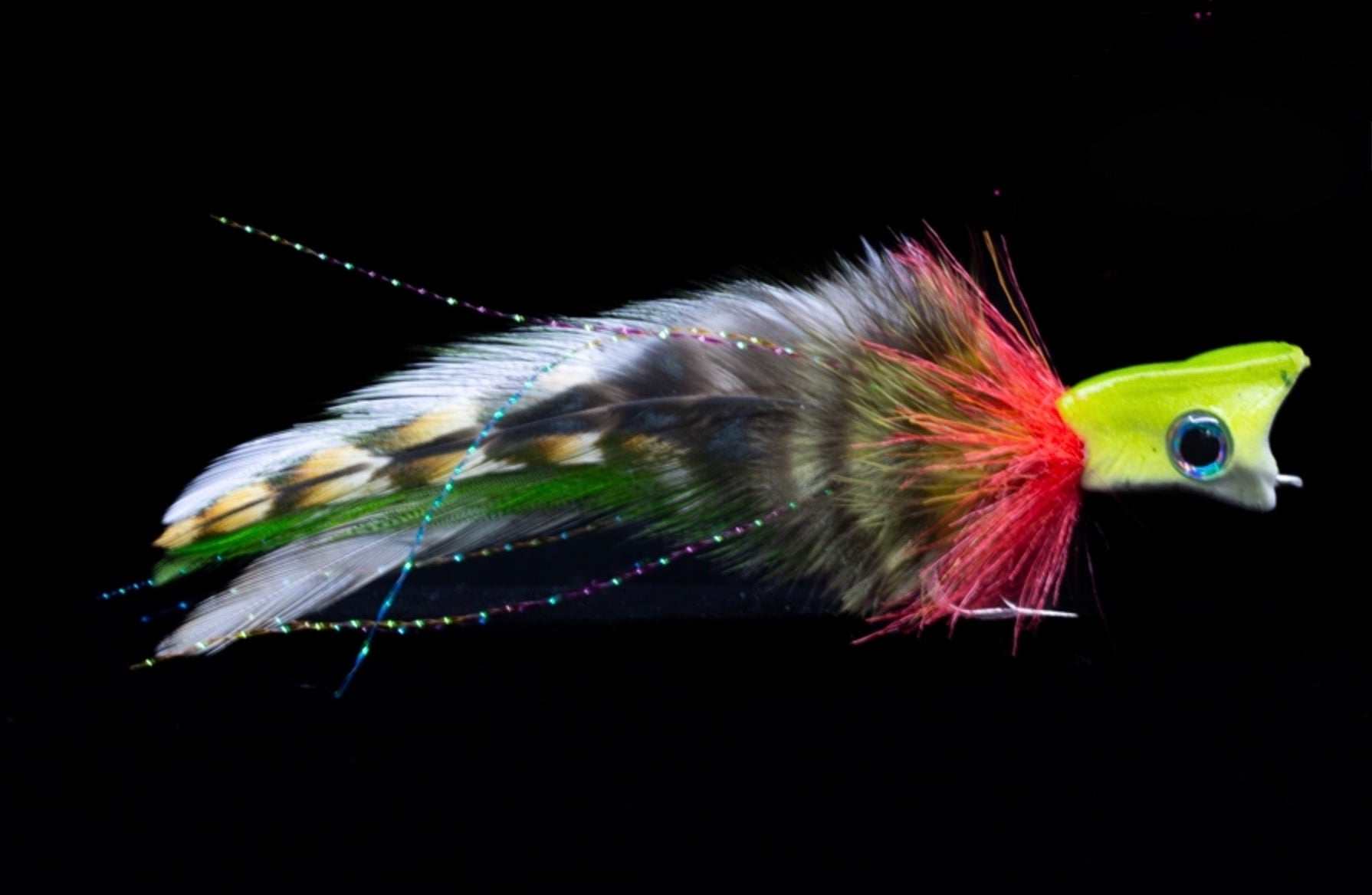DACCli LAB ポッパー ポンズーン Swamp Donkey Popper – BlueLineCo.