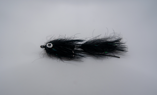 Full Size Leech